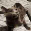Photo of Hugo