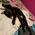 Photo of Kiara