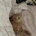 Photo of Kevin