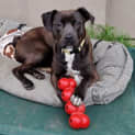 Photo of Matilda