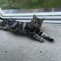 Photo of Kai