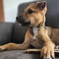Photo of Ezra