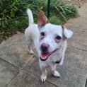 Photo of Leroy