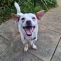 Photo of Leroy