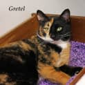 Photo of Gretel