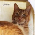 Photo of Jasper
