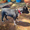 Photo of Candy
