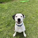 Photo of Peggy