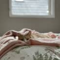 Photo of Cotton