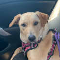 Photo of Imogen