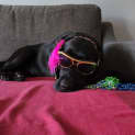 Photo of Georgie Wiggles