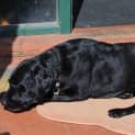 Photo of Georgie Wiggles