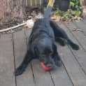 Photo of Georgie Wiggles