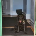 Photo of Georgie Wiggles