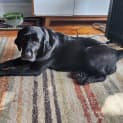 Photo of Georgie Wiggles