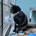 Photo of Missy (Maude)