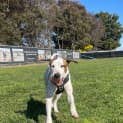 Photo of Tucker