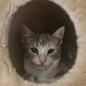 Photo of Wilma
