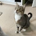 Photo of Gus And Alfie