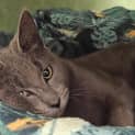 Photo of Cocoa Chanel