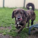 Photo of Slinky