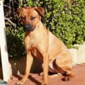 Photo of Maverick