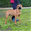 Photo of Maverick