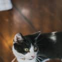 Photo of Pee Wee
