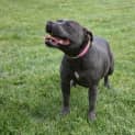 Photo of Polly 