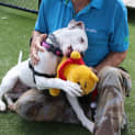 Photo of Hank