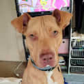 Photo of Wrigley