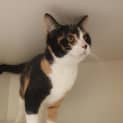 Photo of Cleopatra
