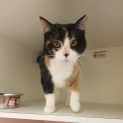 Photo of Cleopatra