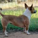 Photo of Hattie