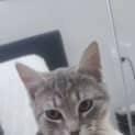 Photo of Max