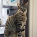 Photo of Wally