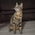 Photo of Wally