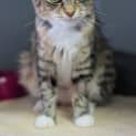 Photo of Relish