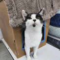 Photo of Mr Tips