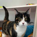 Photo of Cleopatra