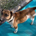 Photo of Ziggy