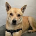 Photo of Maggie