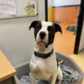 Photo of Wizard