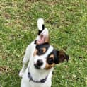 Photo of Tessie