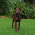 Photo of Aiden