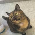 Photo of Spice 