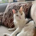 Photo of Lela