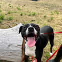 Photo of Hershey