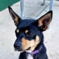 Photo of Zoe
