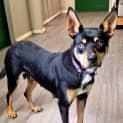 Photo of Zoe